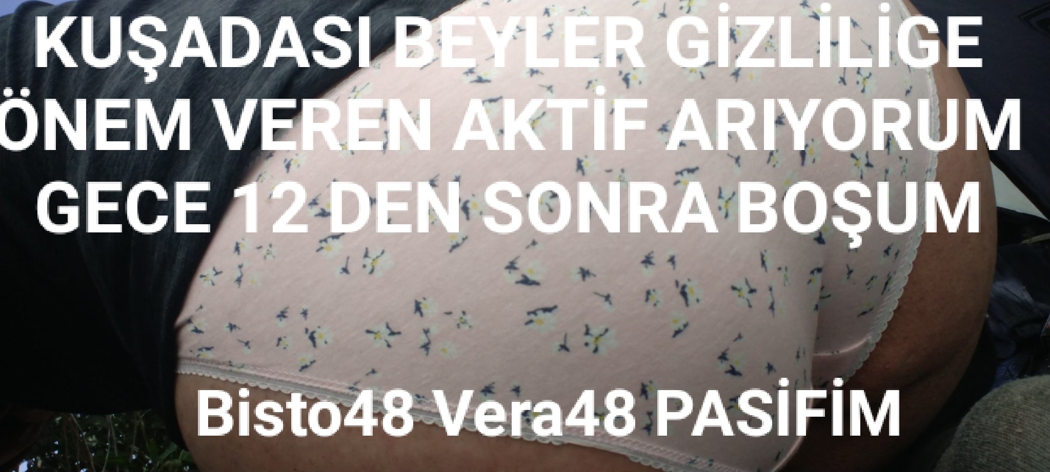 Bisto48 Vera48 Vera48 Profile Picture